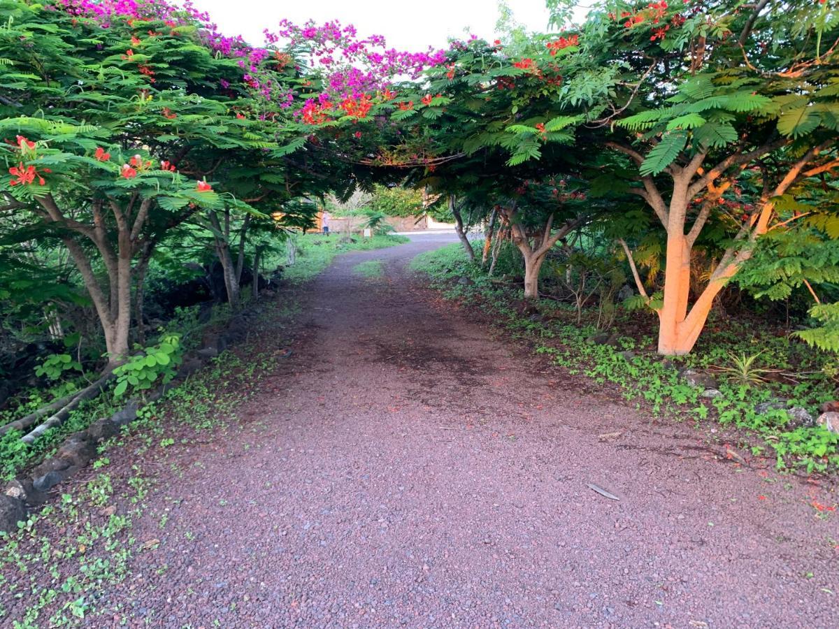 Casa Verde Vacation Garden Home San Cristóbal 외부 사진